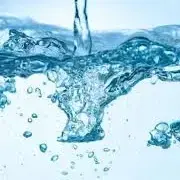 Purified Water